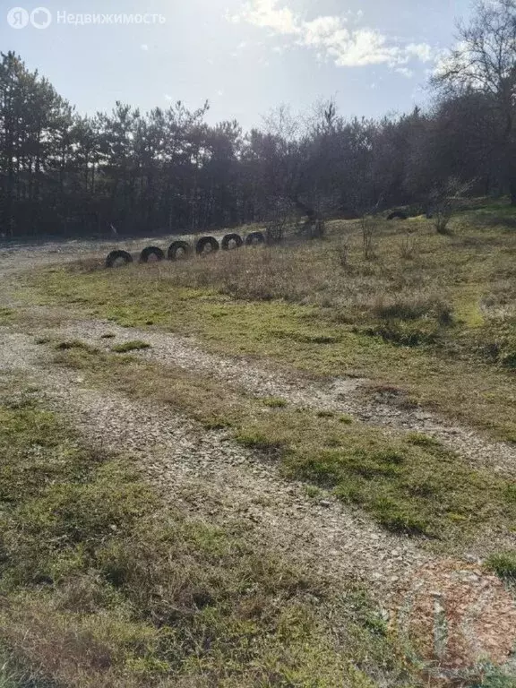 Участок в Трудовское сельское поселение, село Строгоновка (10 м) - Фото 1