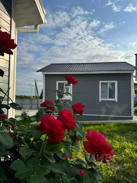 Дом в Калужская область, Козельский район, Нижние Прыски с/пос, с. ... - Фото 1
