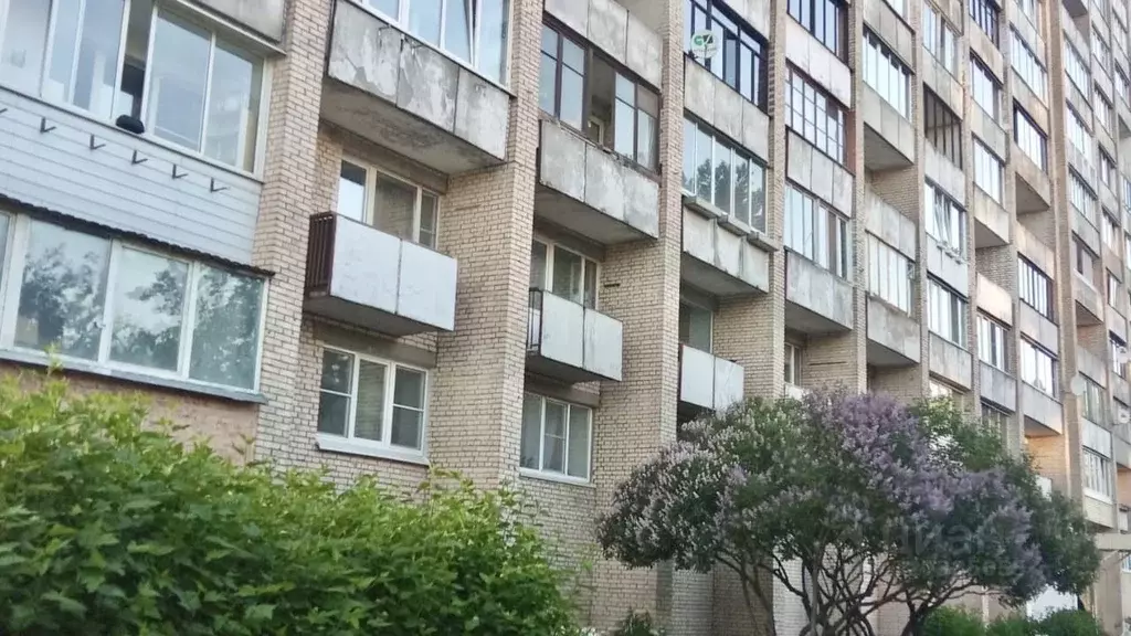 1-к кв. Санкт-Петербург ул. Маршала Тухачевского, 31 (41.2 м) - Фото 2