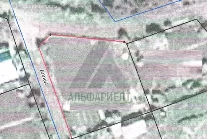 Участок в Омск, территория СОСН Строитель-84, аллея 3С (6.8 м) - Фото 2