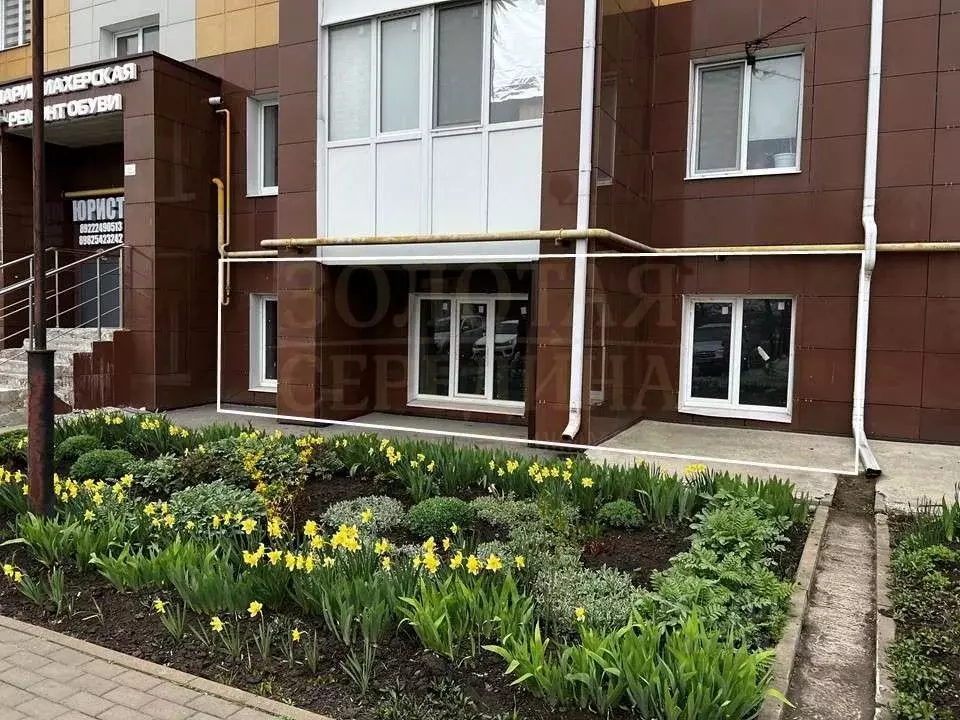 Помещение свободного назначения в Белгородская область, Белгородский ... - Фото 1