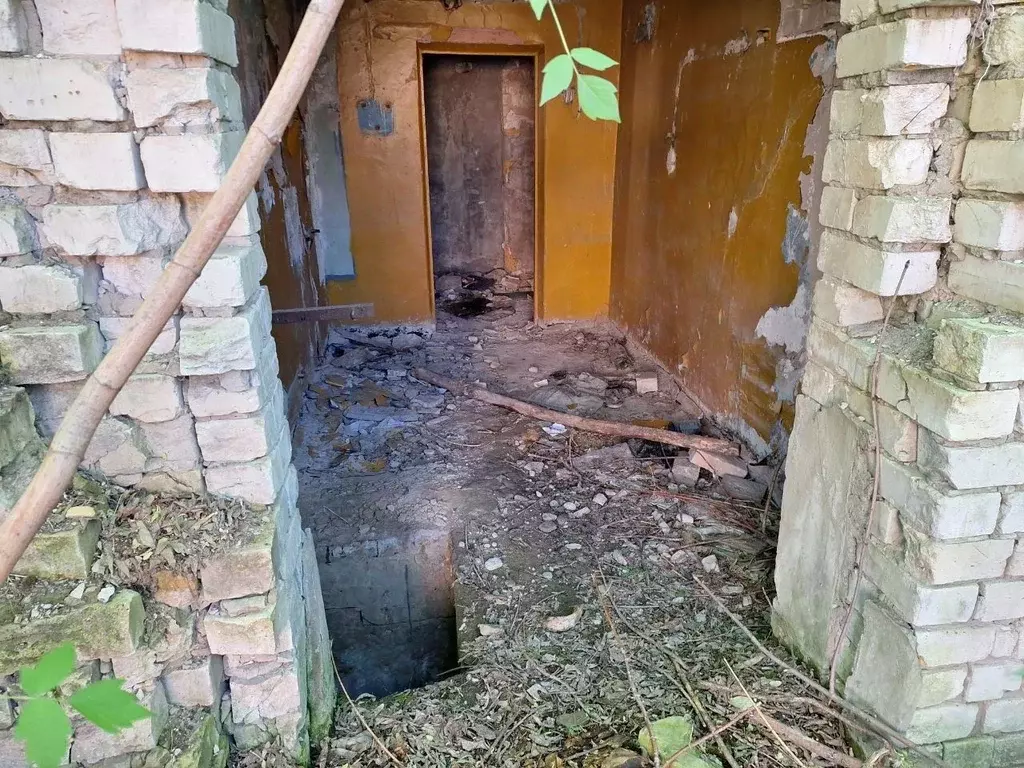 Помещение свободного назначения в Самарская область, Чапаевск ул. ... - Фото 0