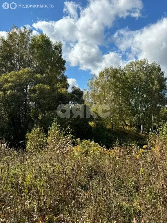 Участок в Тульская область, городской округ Тула, деревня Ширино, ... - Фото 1