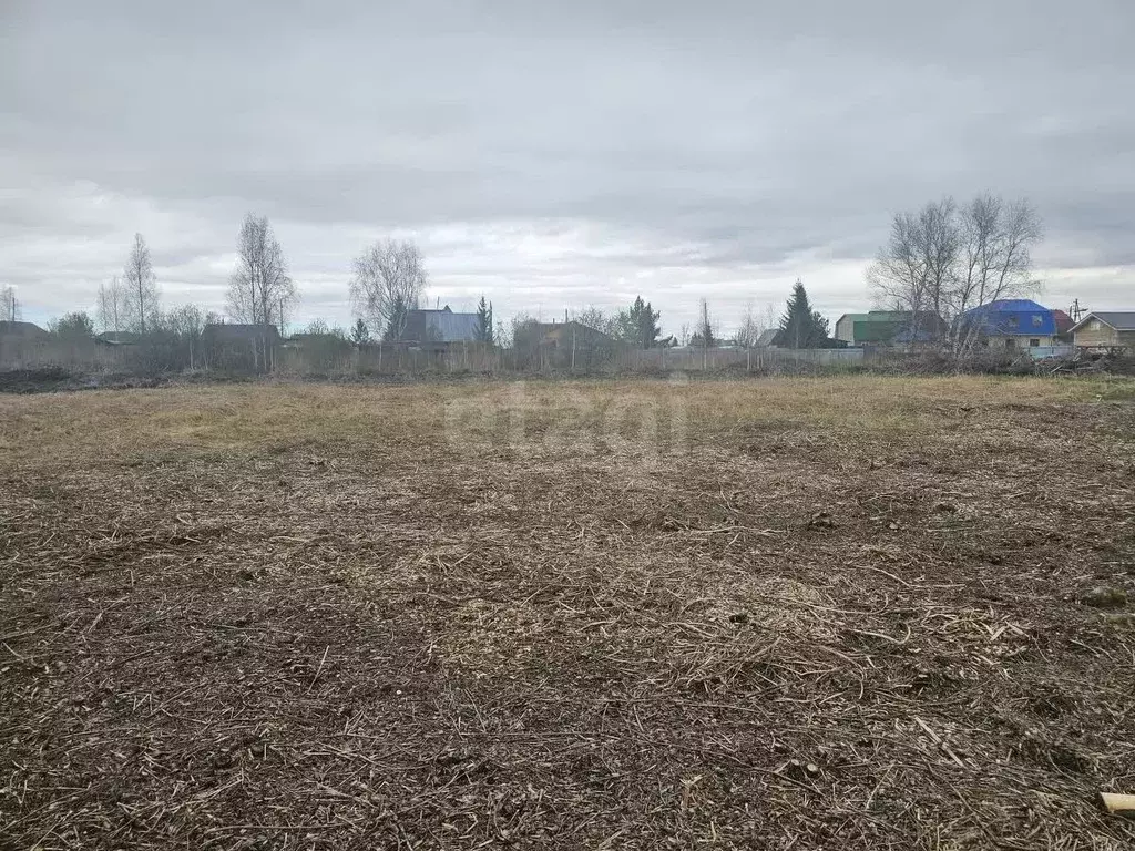 Участок в Тюменская область, Тюмень Ясень садовое товарищество, ул. ... - Фото 0