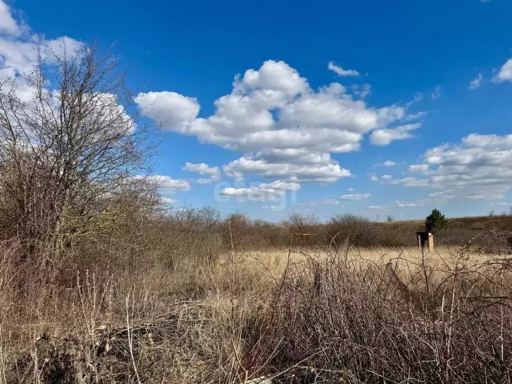 Участок в Липецкая область, Липецк Строитель-3 СНТ, 617 (10.0 сот.) - Фото 2