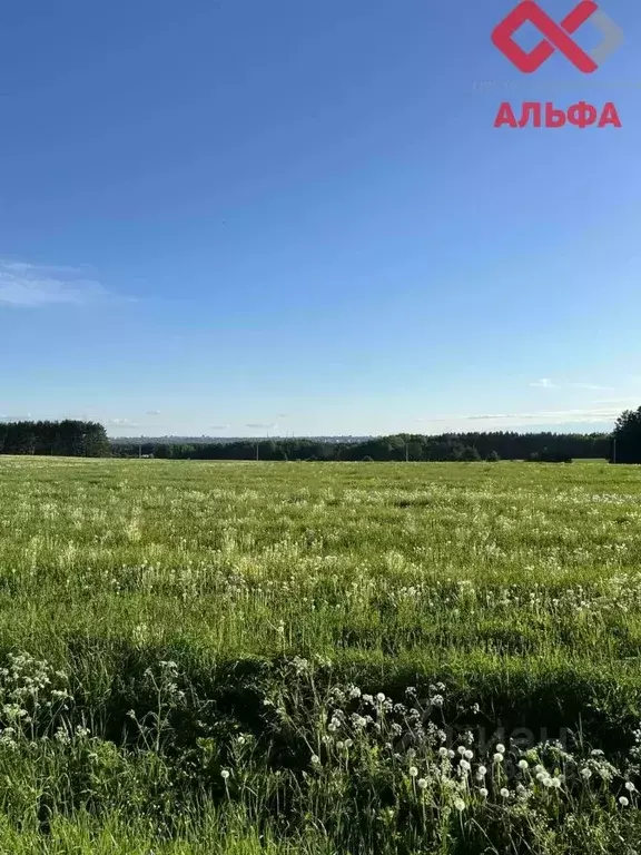 Участок в Кировская область, Слободской муниципальный район, Ленинское ... - Фото 1