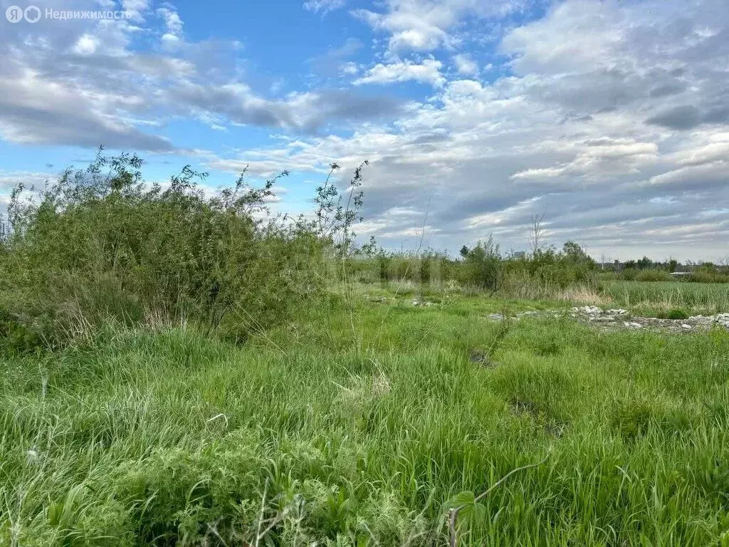 Участок в Курган, СТ Автомобилист (6.5 м) - Фото 1