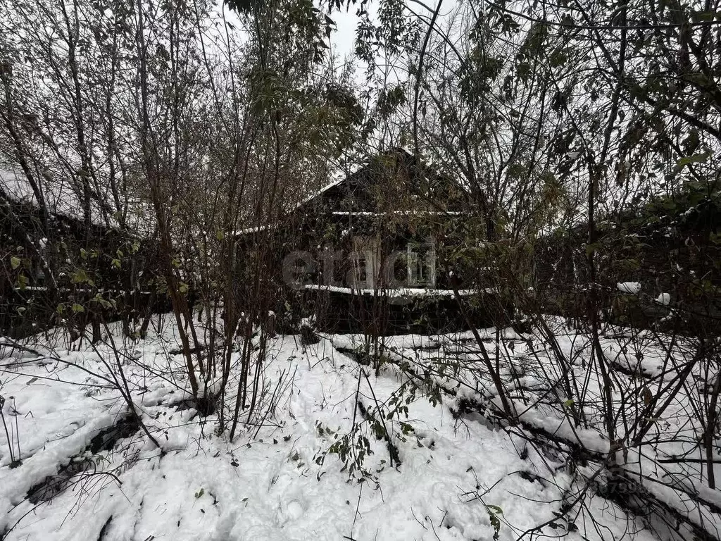 Дом в Новосибирская область, Новосибирск Затон мкр, ул. Заобская, 49 ... - Фото 1