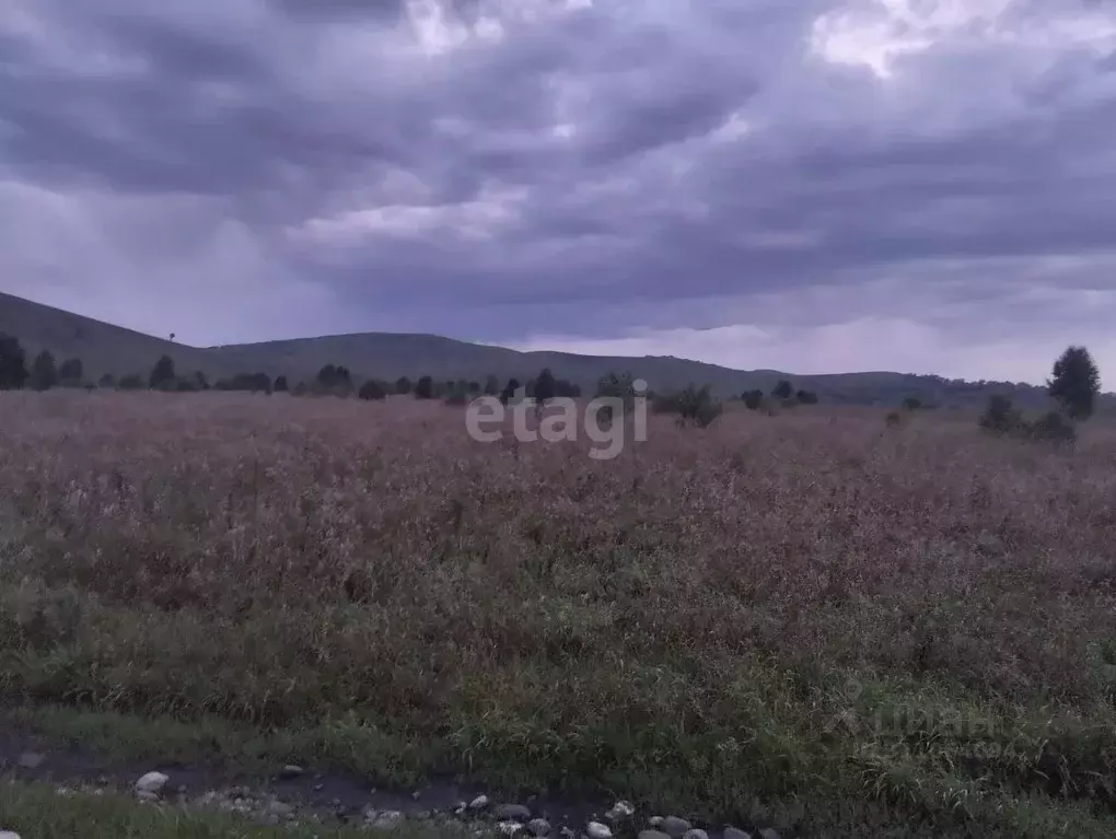 Участок в Алтай, Майминский район, с. Соузга Набережная ул. (15.0 ... - Фото 0