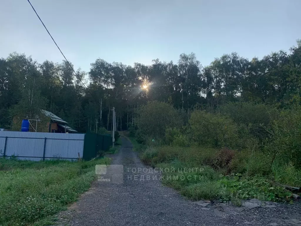Участок в Московская область, Домодедово Керамик СНТ, 87 (6.0 сот.) - Фото 1