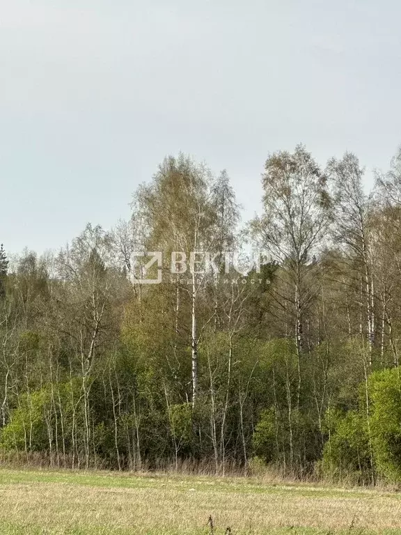 Участок 11 сот. (ИЖС) - Фото 0