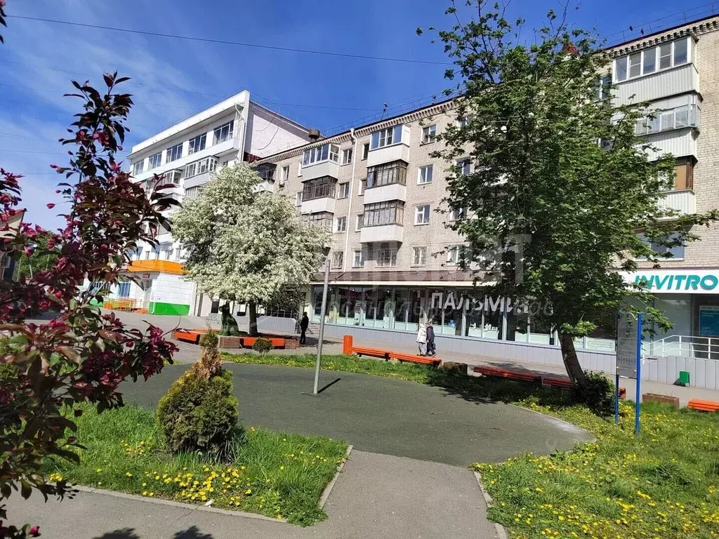 2-к кв. Курганская область, Курган ул. Пушкина, 49 (42.2 м) - Фото 1