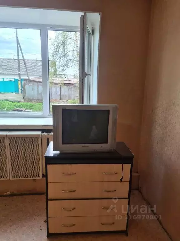 Студия Алтайский край, Барнаул ул. Малахова, 63 (13.2 м) - Фото 1