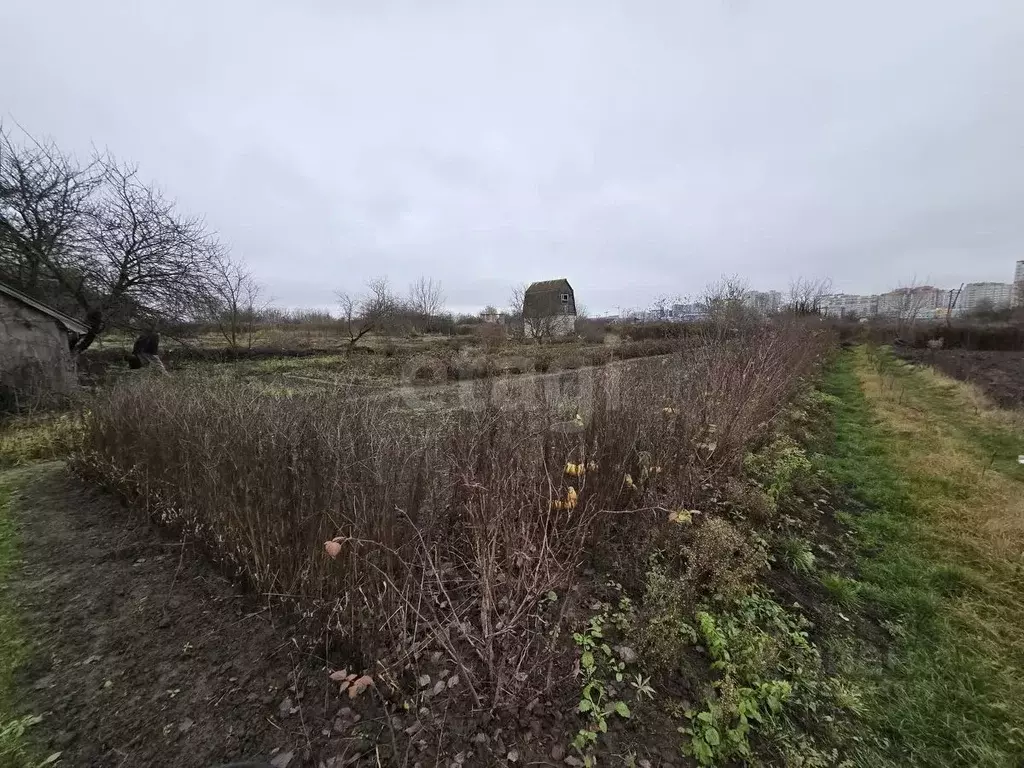 Участок в Брянская область, Брянский район, Снежское с/пос, пос. ... - Фото 2