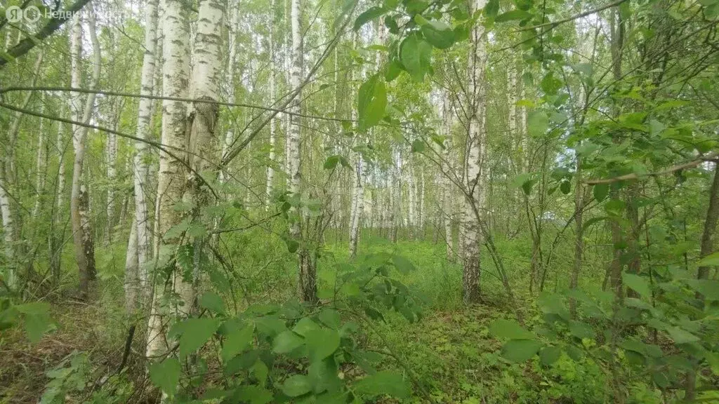 Дом в Орехово-Зуевский городской округ, коттеджный посёлок Жемчужный ... - Фото 1