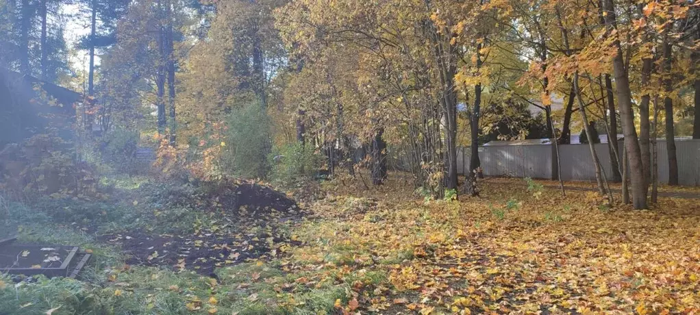 Участок в Санкт-Петербург пос. Парголово, Осиновая Роща исторический ... - Фото 1