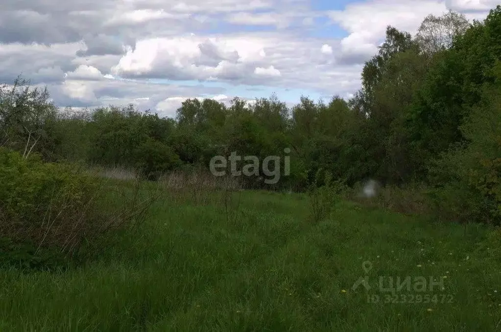 Участок в Калужская область, Козельский муниципальный округ, Покровск ... - Фото 2