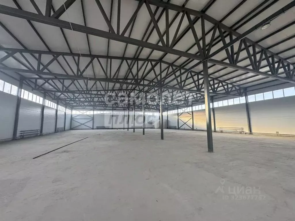 Склад в Московская область, Дмитров Промышленная ул., 42 (1490 м) - Фото 1