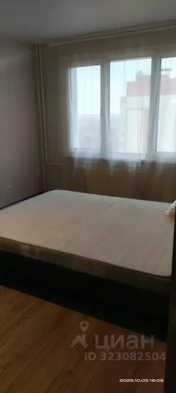 1-к кв. Воронежская область, Новоусманский район, пос. Отрадное бул. ... - Фото 2