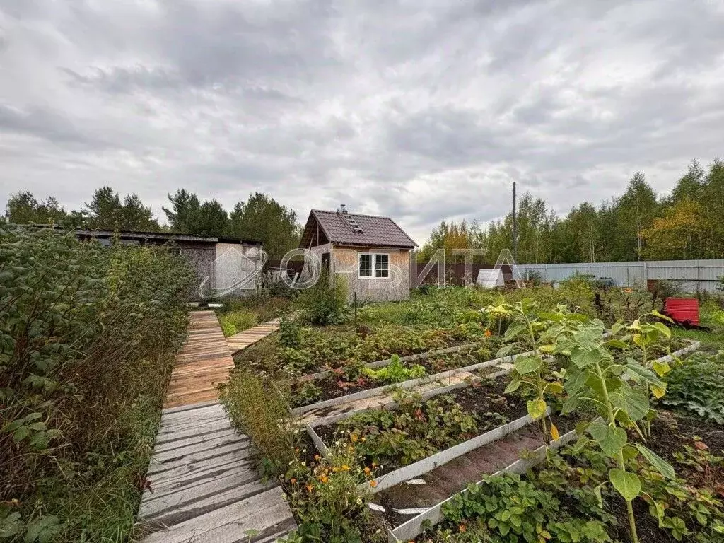 Дом в Тюменская область, Тюменский муниципальный округ, Боровое ПСО ... - Фото 1