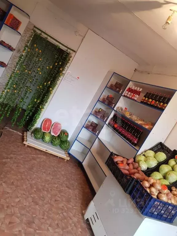 Торговая площадь в Челябинская область, Уйский муниципальный округ, ... - Фото 2