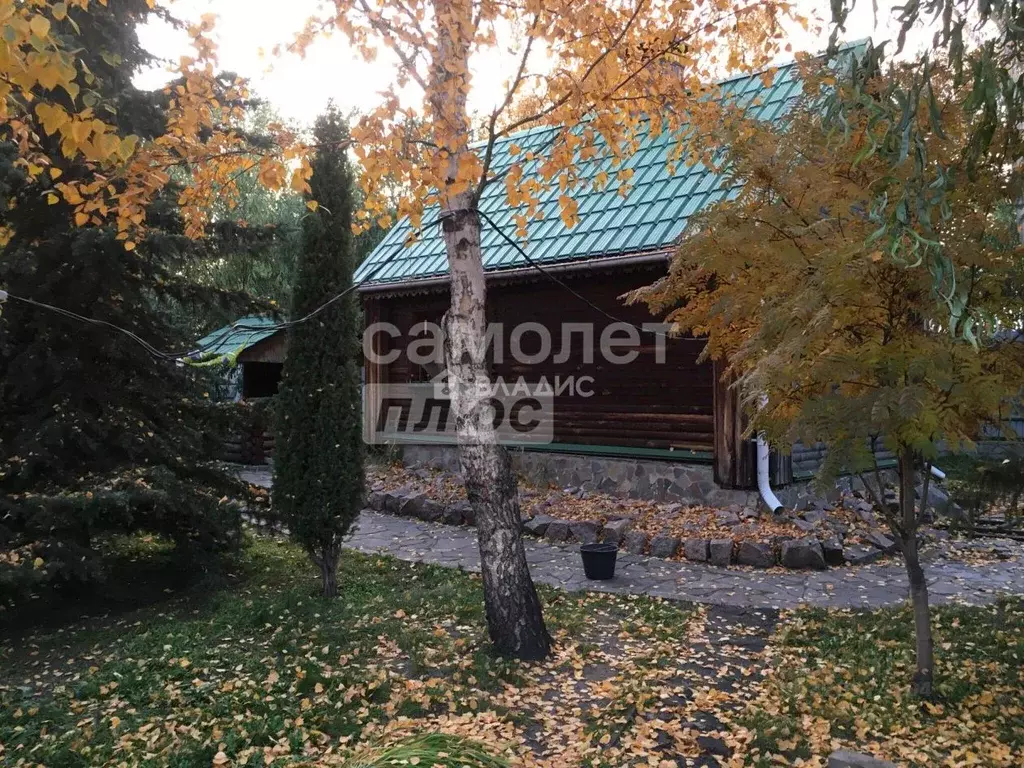 Дом в Челябинская область, Копейский городской округ, с. Синеглазово ... - Фото 2