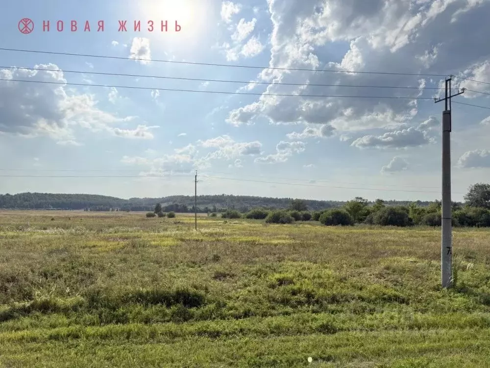 Участок в Самарская область, Красноярский район, Светлое Поле с/пос, ... - Фото 1