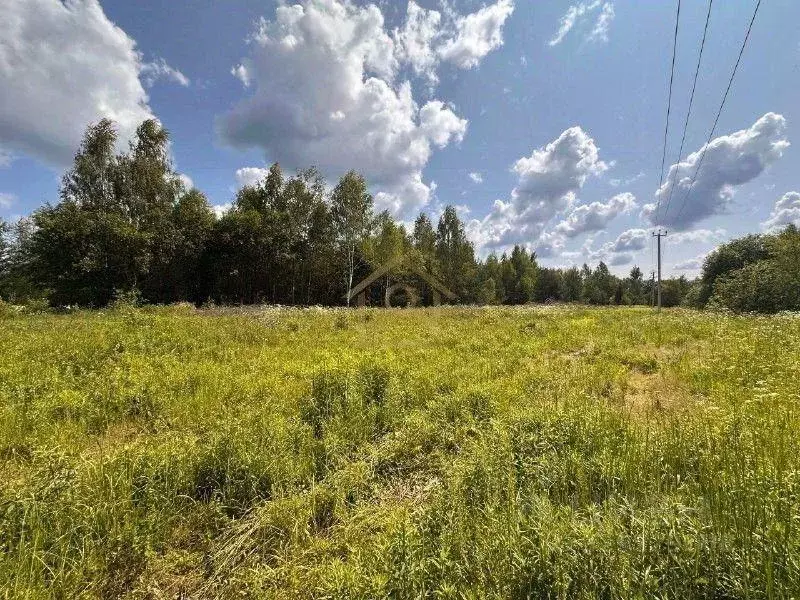 Участок, 6 сот., поселения (ижс) - Фото 2