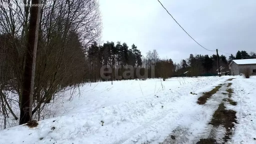 Участок в Приозерский район, Раздольевское сельское поселение, деревня ... - Фото 0