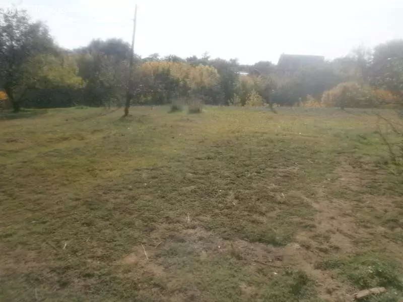 Участок в хутор Нижнеговейный, улица Кривошлыкова (6 м) - Фото 0