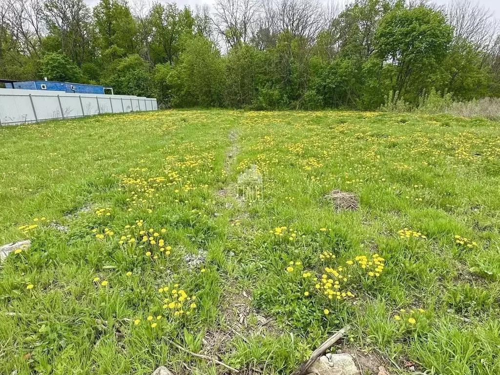 Участок в Воронежская область, Рамонь рп ул. Земледельцева, 12 (10.0 ... - Фото 1