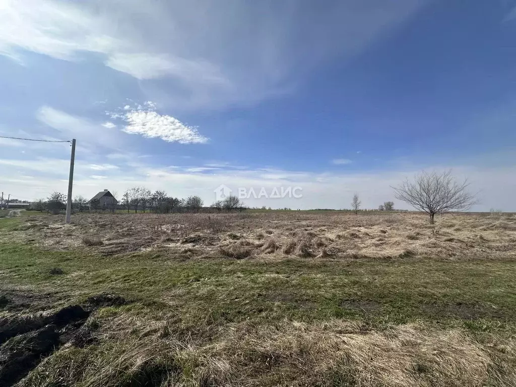 Участок в Воронежская область, Каширский район, Кондрашкинское с/пос, ... - Фото 1