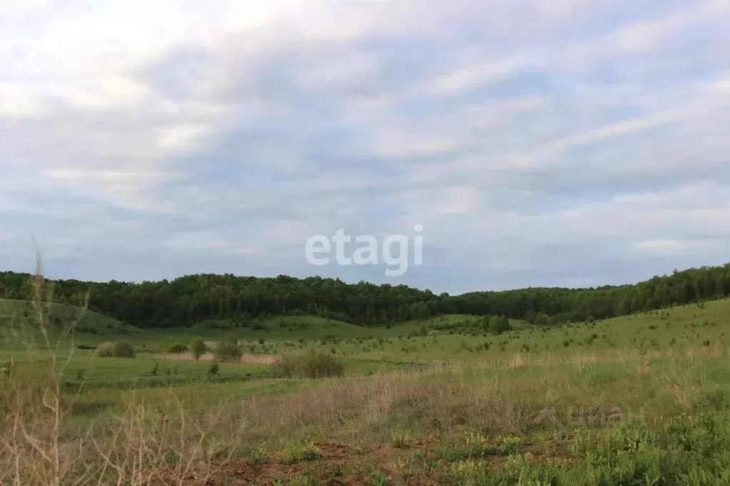 Участок в Мордовия, с. Лямбирь ул. Нижегородская (15.86 сот.) - Фото 1