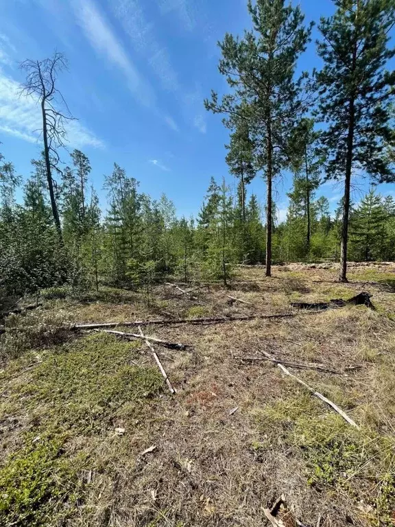 Участок в Саха (Якутия), Мегино-Кангаласский улус, Нижний Бестях пгт ... - Фото 2
