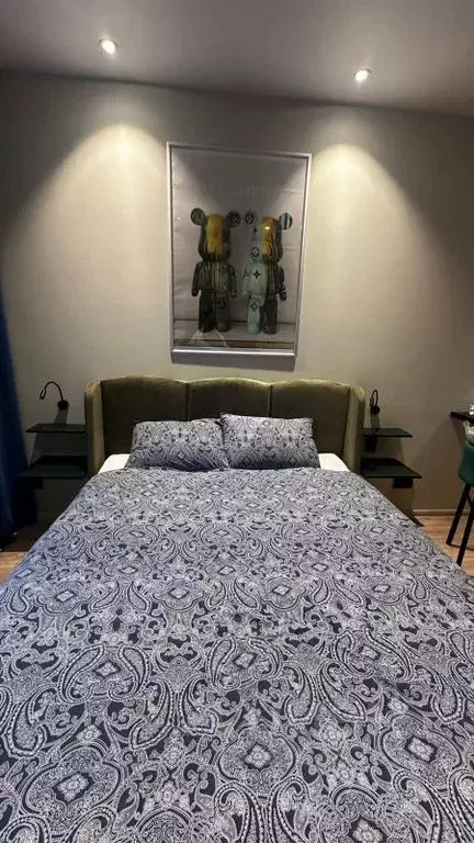 1-к кв. Санкт-Петербург просп. Энергетиков, 8к2 (26.0 м) - Фото 2