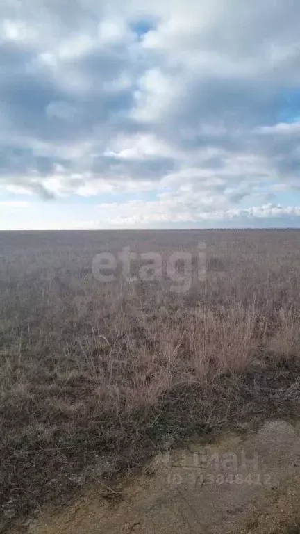 Участок в Крым, Евпатория городской округ, Новоозерное пгт ул. ... - Фото 0