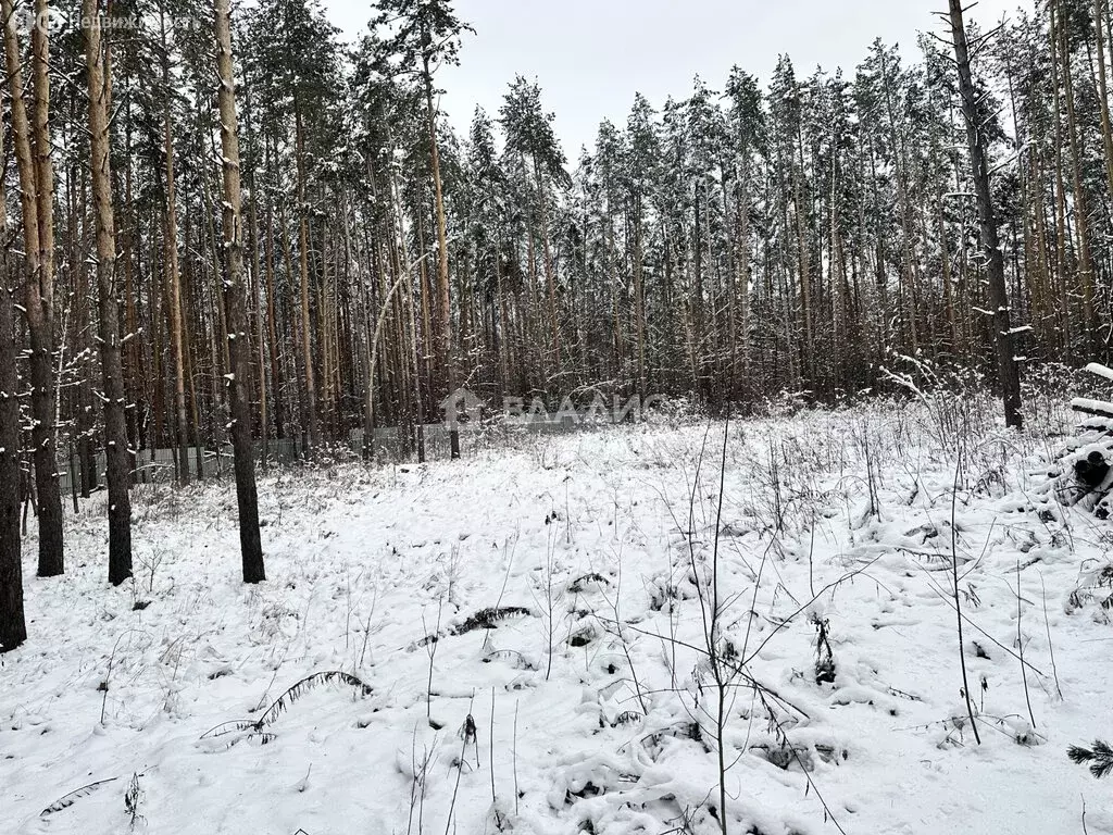 Участок в Пензенский район, Богословский сельсовет, село Малая ... - Фото 1