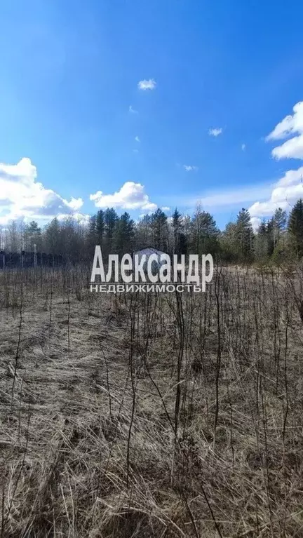 Участок в Ленинградская область, Волосовский район, Калитинское с/пос, ... - Фото 1