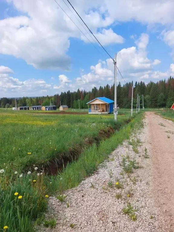 Участок в Пермский край, д. Большакино, Скандинавия кп  (6.6 сот.) - Фото 1