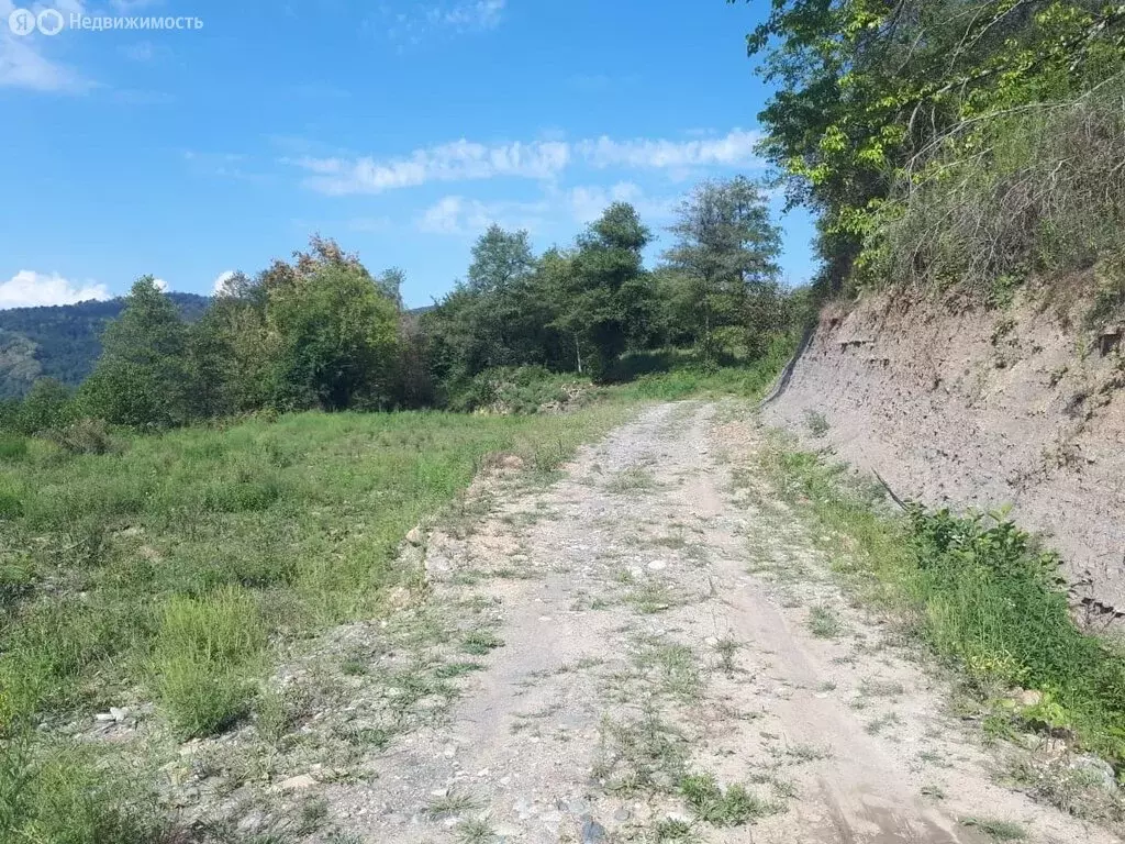 Участок в Краснодарский край, городской округ Сочи, село ... - Фото 1