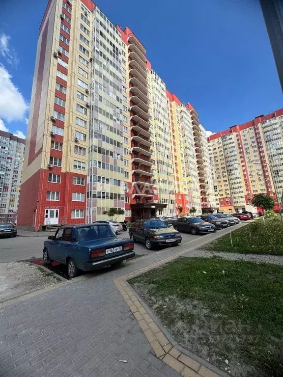 Студия Воронежская область, Новоусманский район, пос. Отрадное ул. ... - Фото 1