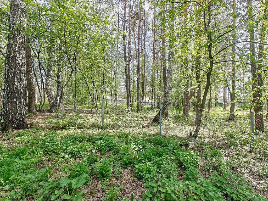 Участок 4,69 га (ИЖС) - Фото 0