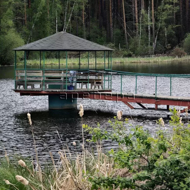 Дом в Красноярский край, Емельяновский район, Никольский сельсовет, д. ... - Фото 0
