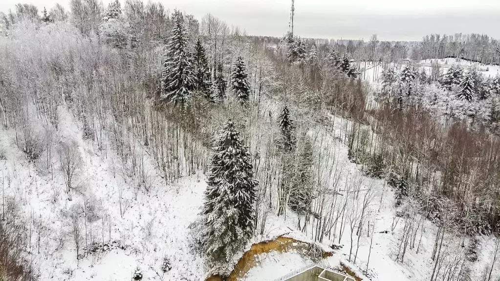 Участок в Ленинградская область, Всеволожский район, д. Юкки ул. ... - Фото 1