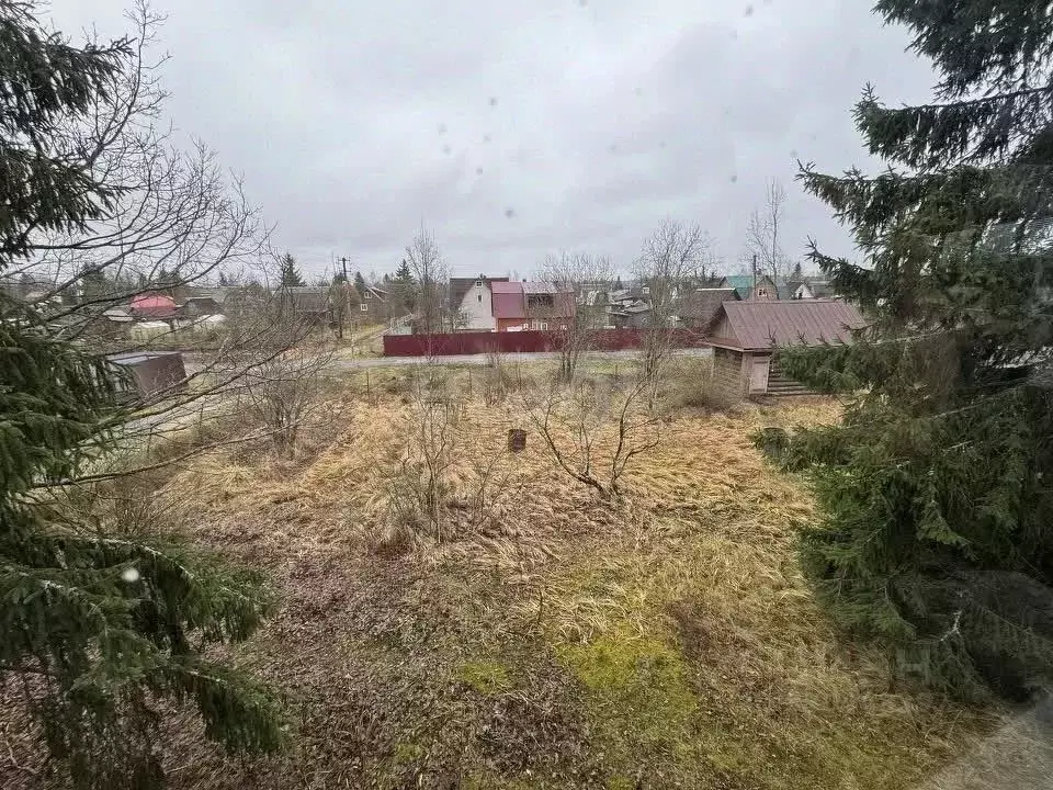 Участок в Ленинградская область, Тосненский район, Трубникоборское ... - Фото 1