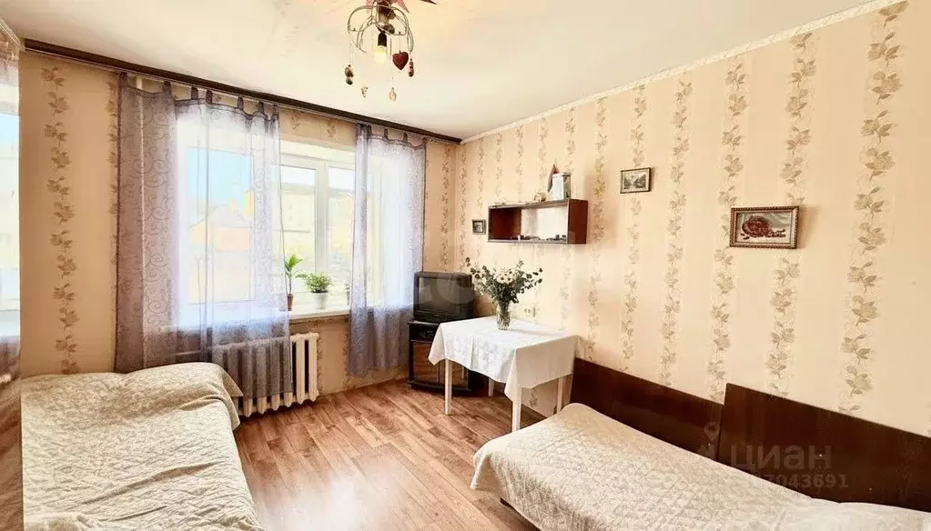 Комната Владимирская область, Покров ул. Фейгина, 3Ак2 (18.0 м) - Фото 2