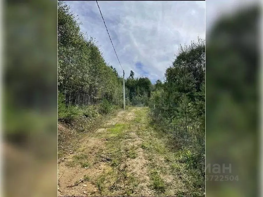 Участок в Иркутская область, Иркутский муниципальный округ, д. ... - Фото 1