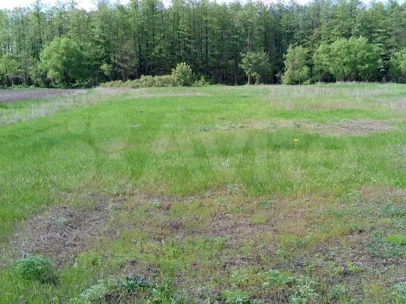 Белгородская Область Участки Под Ижс Купить