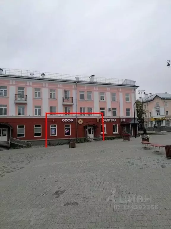 Торговая площадь в Пермский край, Чусовой ул. Ленина, 29 (84 м) - Фото 2