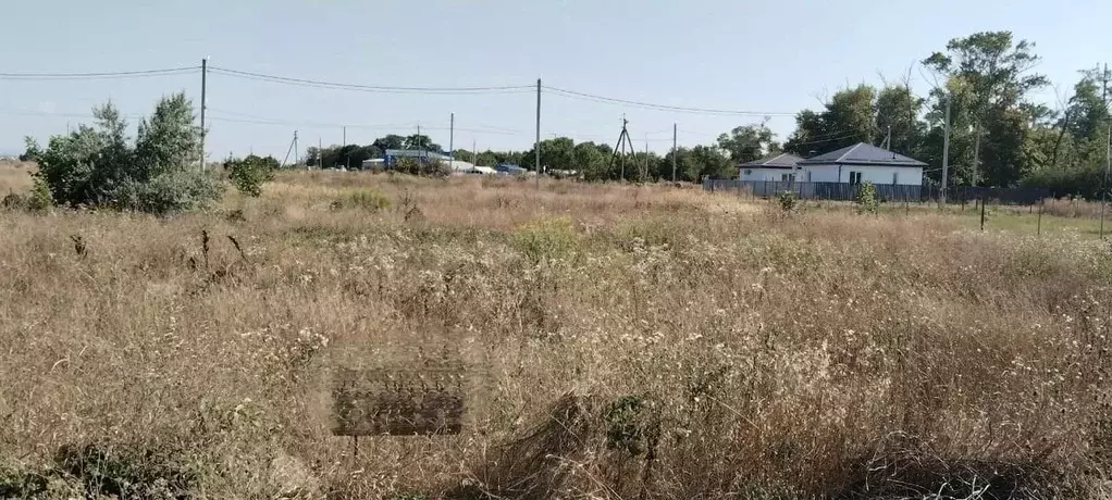 Участок в Краснодарский край, Анапа муниципальный округ, пос. ... - Фото 2